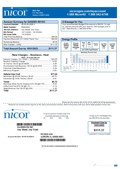 Download USA Illinois Nicor gas business utility bill template in Word and PDF formats Photoshop template